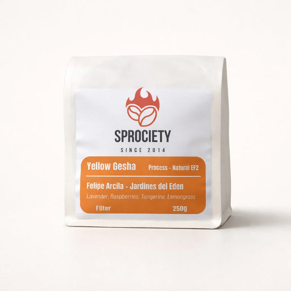 Yellow Gesha - Filter Roast