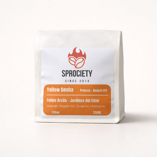 Yellow Gesha - Filter Roast